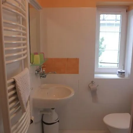 Guest house Alba 3*