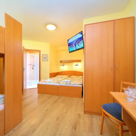 Guest house Alba 3*